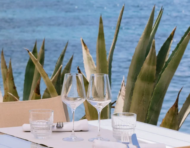 Amante Ibiza 7